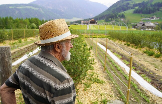 Älterer Mann mit Strohhut blickt über bepflanzte Gemüsebeete in einer ländlichen Berglandschaft.