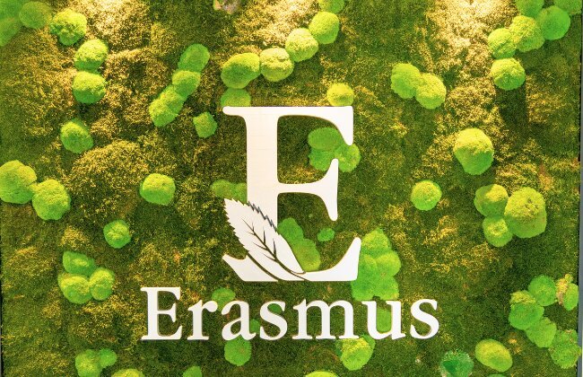 Erasmus-Logo mit weißem Buchstaben „E“ und Schriftzug auf einem grünen Hintergrund aus Moos und kleinen Pflanzen.