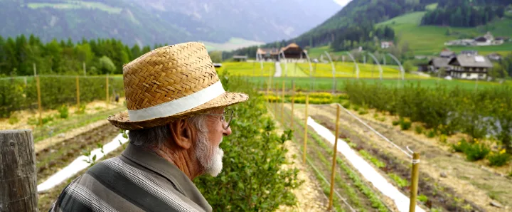 Ein älterer Bauer mit Strohhut auf einem Feld blickt in die Ferne