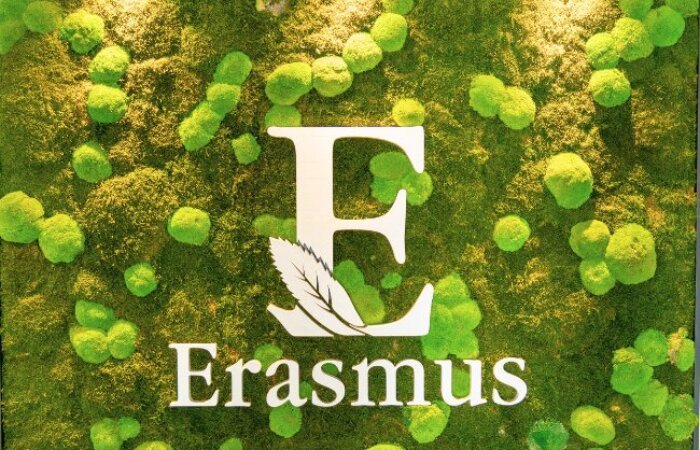 Design ohne Titel (14) Erasmus-Logo mit weißem Buchstaben „E“ und Schriftzug auf einem grünen Hintergrund aus Moos und kleinen Pflanzen.