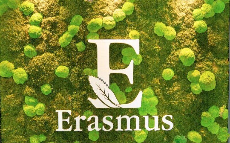 Design ohne Titel (14) Erasmus-Logo mit weißem Buchstaben „E“ und Schriftzug auf einem grünen Hintergrund aus Moos und kleinen Pflanzen.