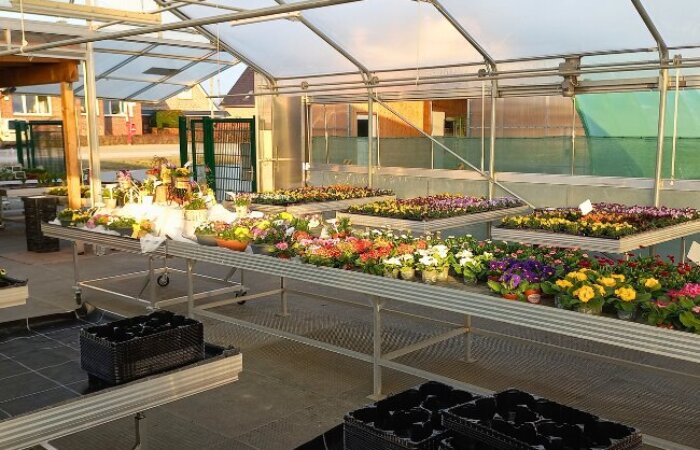 Design ohne Titel (7)