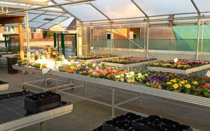 Design ohne Titel (7)