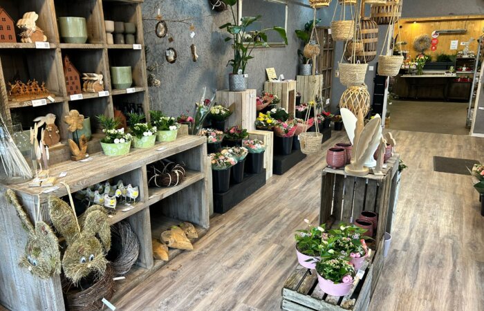 WhatsApp Image 2026-03-10 at 09.04.43 WhatsApp Image 2026-03-10 at 09.04.43