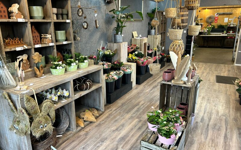 WhatsApp Image 2026-03-10 at 09.04.43